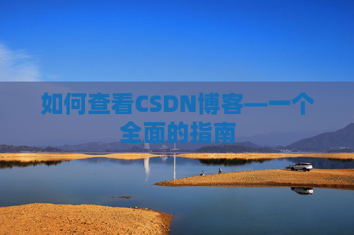 如何查看CSDN博客—一个全面的指南